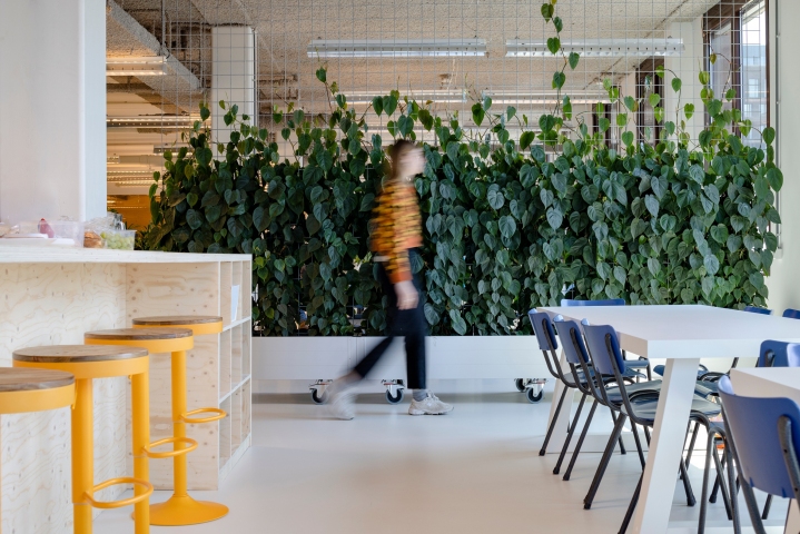 Open Office Day